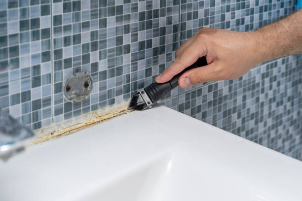 Best Fast Mold Removal  in St Johns, MI