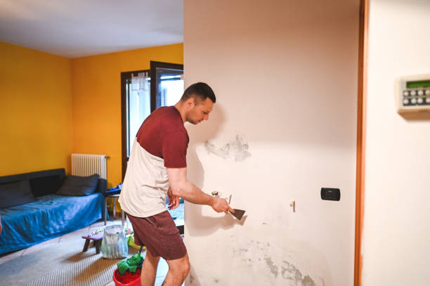 Best Attic Mold Removal  in St Johns, MI